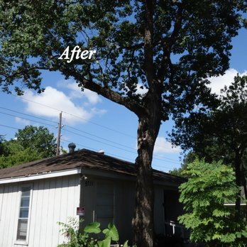 Byron Bruess Tree Service - Tree Services Near Me