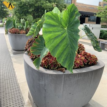 Clean Air Lawn Care - Planters designed and maintained with organic fertilizer and compost - Lawn Services Near Me Clean Air Lawn Care - Planters designed and maintained with organic fertilizer and compost - Lawn Services Near Me