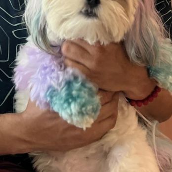 Cain's Dog House - Pet Sitting Near Me - Pensacola, Florida