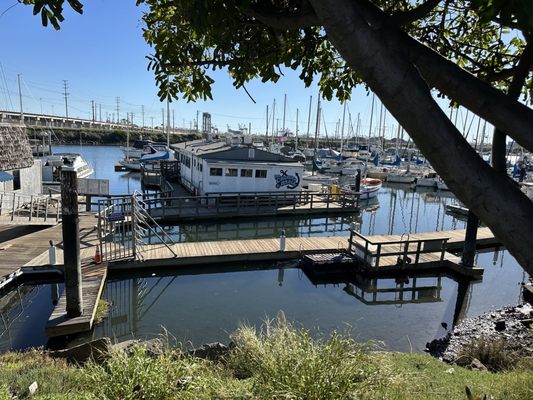 Chowder Barge by null