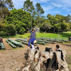 Kids playing near picnic tables