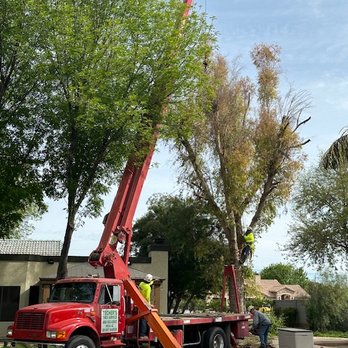 Techer's Tree Service - Tree Services Near Me - Phoenix, Arizona
