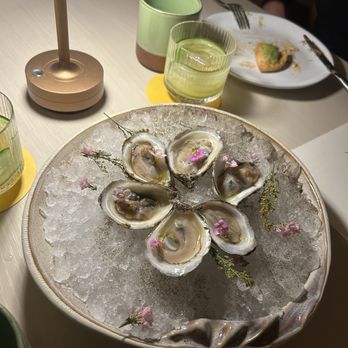 Casa Dani - Oysters - Mediterranean Near Me - Los Angeles, California Casa Dani - Oysters - Mediterranean Near Me - Los Angeles, California