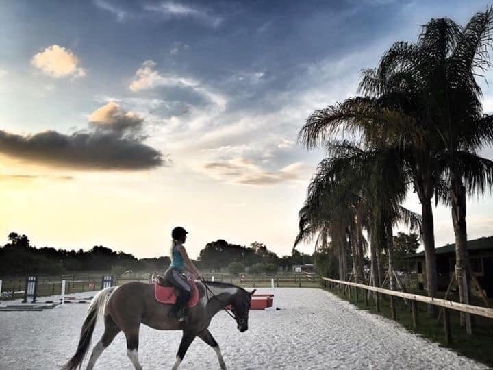 CHASLIN FARMS Updated October 2024 Bradenton, Florida Horse