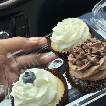 Cool Cat Cupcakes - Lemon Blueberry, Lemon, and classic chocolate. I apologize if I got the names wrong. - Cupcakes Near Me - Fredericksburg, Virginia Cool Cat Cupcakes - Lemon Blueberry, Lemon, and classic chocolate. I apologize if I got the names wrong. - Cupcakes Near Me - Fredericksburg, Virginia