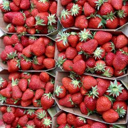 Kaya Markt - Erdbeeren