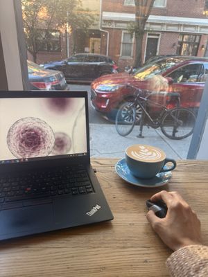 Shot Tower Coffee by null