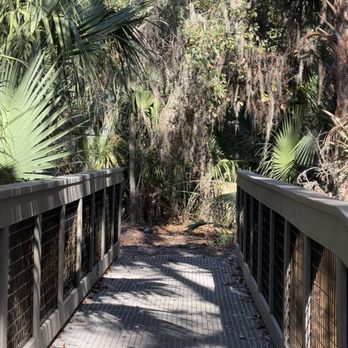 Alafia Scrub Nature Preserve - Hiking Near Me - Riverview, Florida Alafia Scrub Nature Preserve - Hiking Near Me - Riverview, Florida