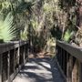 Photo of Alafia Scrub Nature Preserve