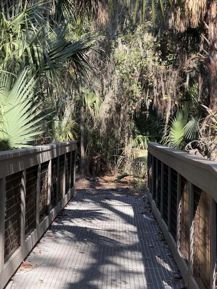 Alafia Scrub Nature Preserve Image