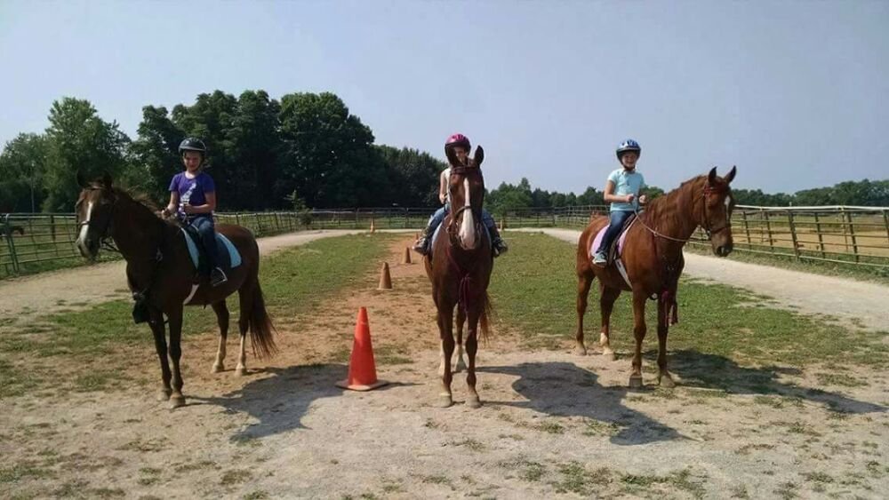 DAYBREAK FARM & RIDING ACADEMY Updated August 2024 6073 Maddox Rd, Mount Juliet, Tennessee