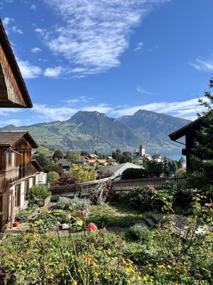 Hotel Eden Spiez by null