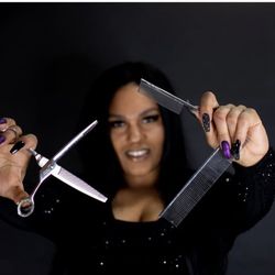 Urban Pet Boutique Grooming & Supplies