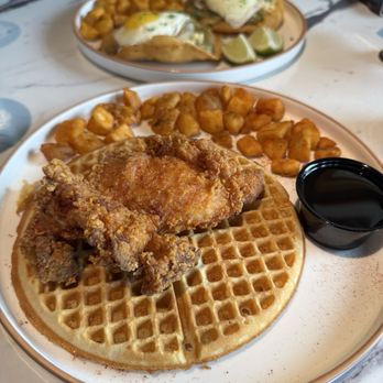 The Bird - Chicken n' Waffles - Breakfast & Brunch Near Me - Norfolk, Virginia The Bird - Chicken n' Waffles - Breakfast & Brunch Near Me - Norfolk, Virginia