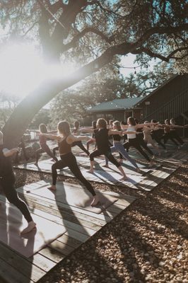 Wild Heart Yoga by null