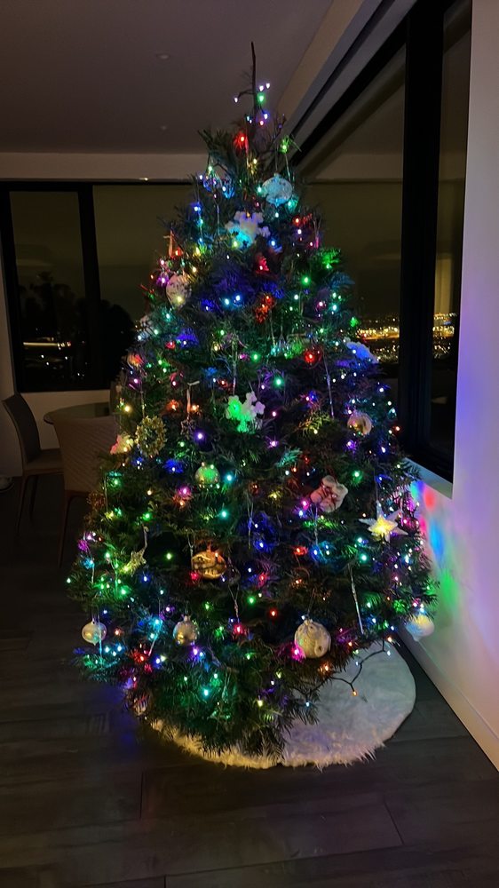PINERY CHRISTMAS TREES Updated October 2024 12 Photos & 26 Reviews