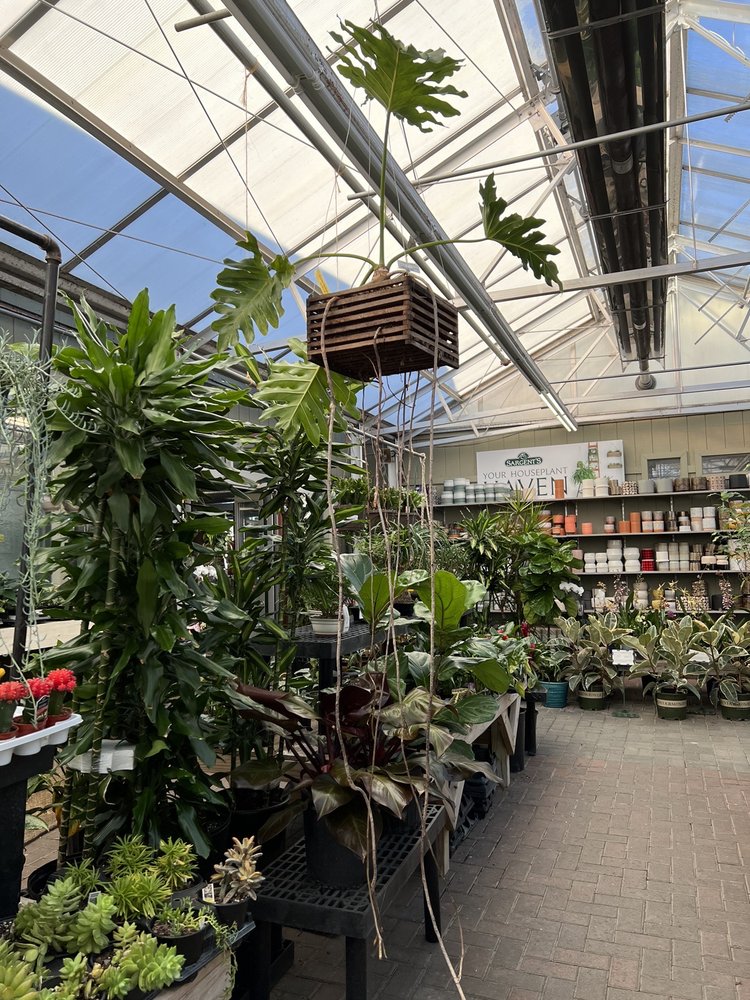 SARGENT’S ON 2ND Updated September 2024 45 Photos 1811 2nd St SW