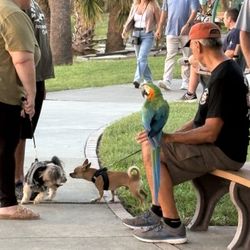 Fortunato Park - Never know who may meet