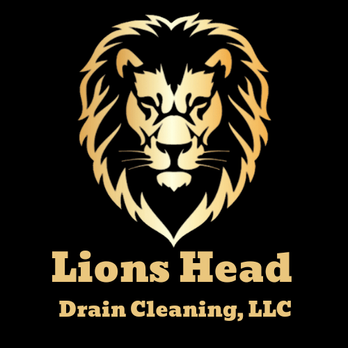 Slide of Lions Head Drain Cleaning