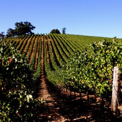 William Gordon Winery