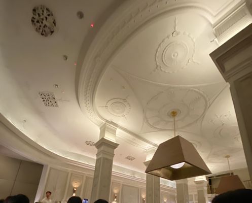 Gayle's Broadway Rose by null