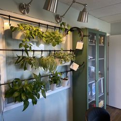 Advanced Massage & Wellness Center - Inside lobby