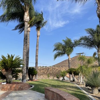 Clean & Green tree service & landscaping - Landscaping Near Me Clean & Green tree service & landscaping - Landscaping Near Me