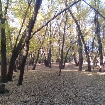 Minnehaha Off-Leash Recreation Area - Dog Parks Near Me - Minneapolis, Minnesota Minnehaha Off-Leash Recreation Area - Dog Parks Near Me - Minneapolis, Minnesota