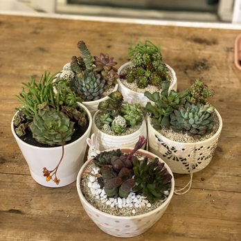Pigment - Here's our creation - Gift Shops Near Me - San Diego, California Pigment - Here's our creation - Gift Shops Near Me - San Diego, California