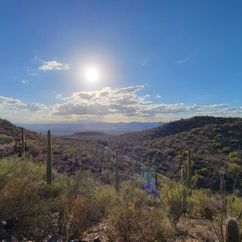 Saguaro National Park - Parks Near Me - Tucson, Arizona Saguaro National Park - Parks Near Me - Tucson, Arizona