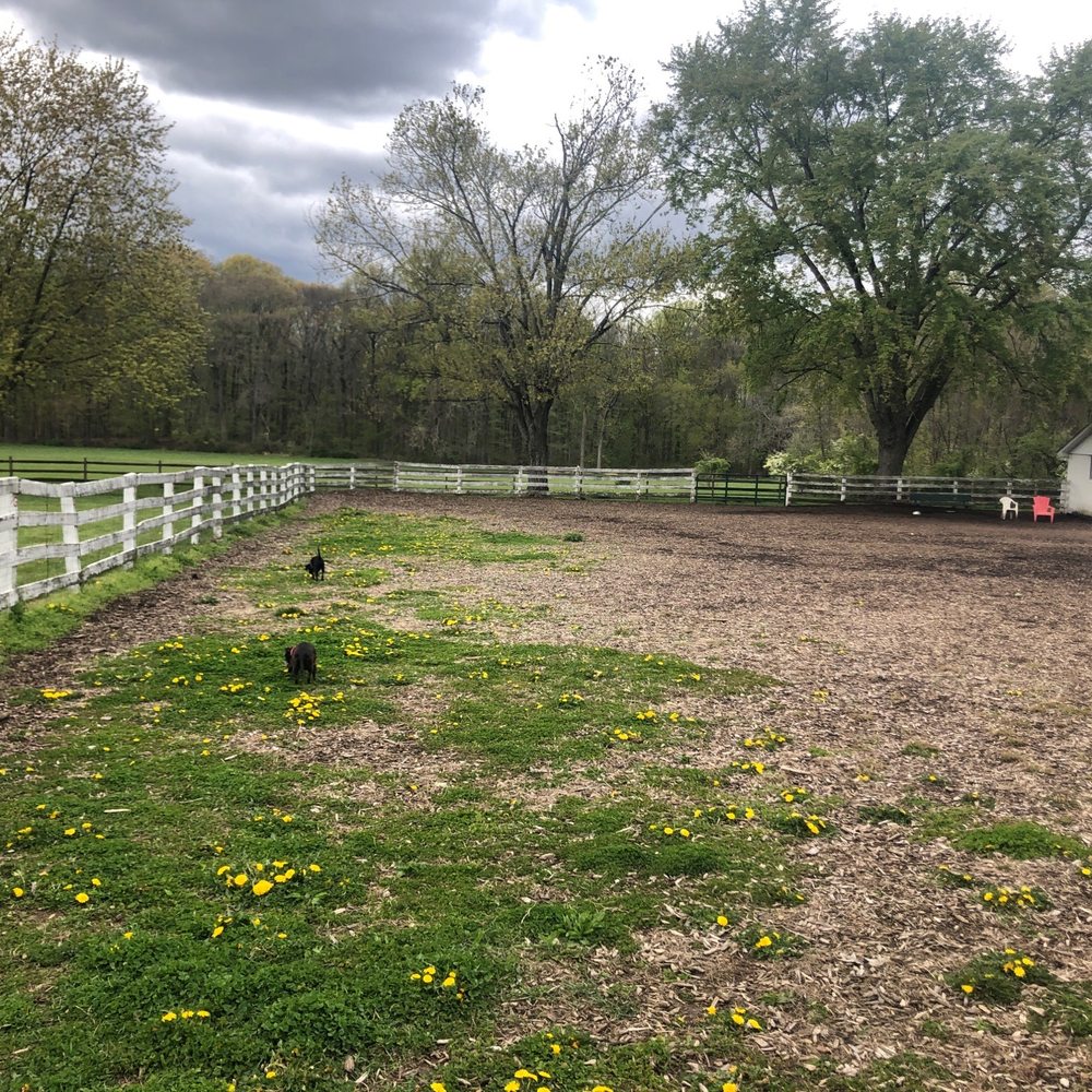 Concord Township Dog Park - Big dog side!!! - Dog Parks Near Me - Garnet Valley, Pennsylvania Concord Township Dog Park - Big dog side!!! - Dog Parks Near Me - Garnet Valley, Pennsylvania