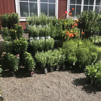 Franz Witte McCall - Perennials - Snow Removal Near Me - McCall, Idaho