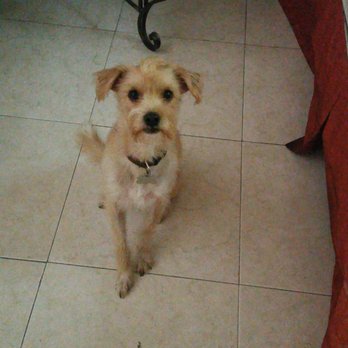 Zar Hotel - Dog friendly yey! - Hotels Near Me - San Luis Potosí, SLP
