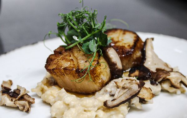 Cape May Winery & Vineyard by null