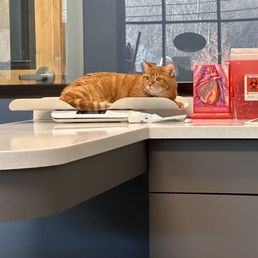 Mr. Copper getting weighed