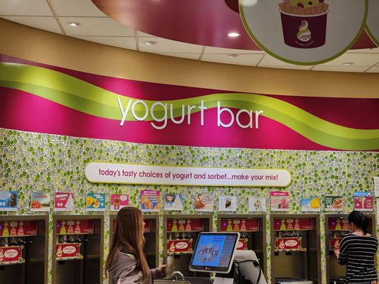 Menchie's Frozen Yogurt by null