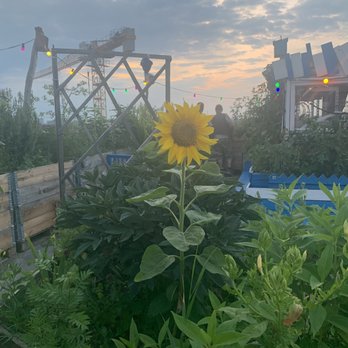 Klunkerkranich - Bars Near Me - Berlin, BE