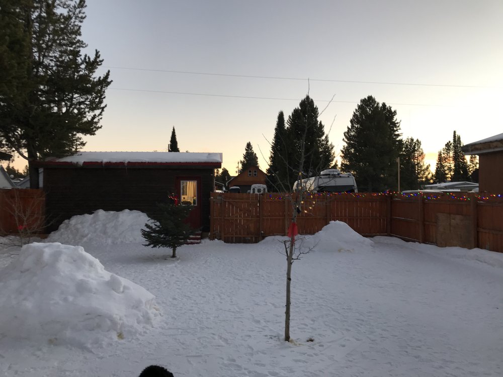 DOGGY DEN LUXURY DOGGY DAYCARE AND SUPPLIES Updated August 2024 67