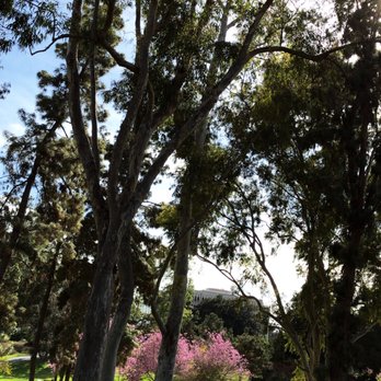 Aldrich Park - Located in the literal center of UCI, Aldrich Park could very well become your favorite spot of this campus. - Parks Near Me - Irvine, California Aldrich Park - Located in the literal center of UCI, Aldrich Park could very well become your favorite spot of this campus. - Parks Near Me - Irvine, California