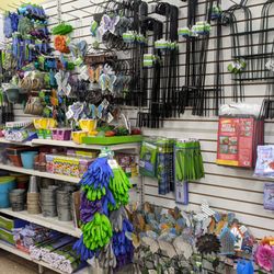 Dollar Tree