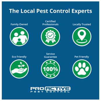 Pro Active Pest Control - Pest Control Near Me Pro Active Pest Control - Pest Control Near Me