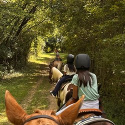 The Livingston Ranch