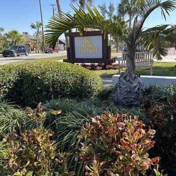The Pink Elephant - American Near Me - Boca Grande, Florida The Pink Elephant - American Near Me - Boca Grande, Florida