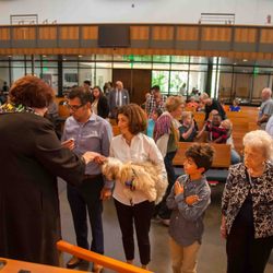 First United Methodist Church - Blessing of the Animals