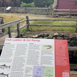 Information