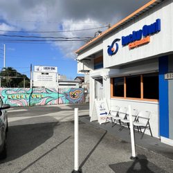Lucky Owl Car Rental - the front!