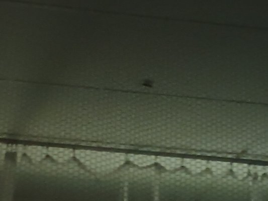 Glen Island Center for Nursing & Rehabilitation