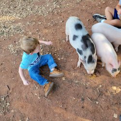 Parkhurst Pumpkin Patch