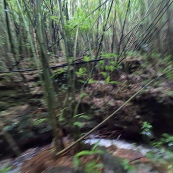 Epic Maui Hikes - Tours Near Me - kihei, Hawaii
