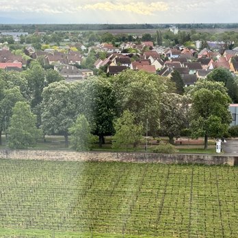 Château d'Isenbourg - Hotels Near Me - Rouffach, 68